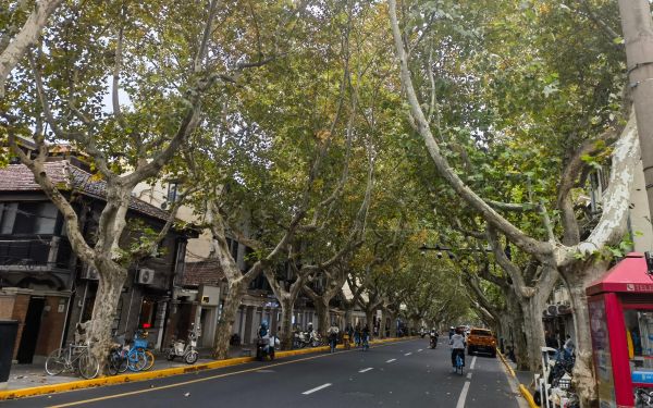 徐匯1.jpg 徐匯1.jpg