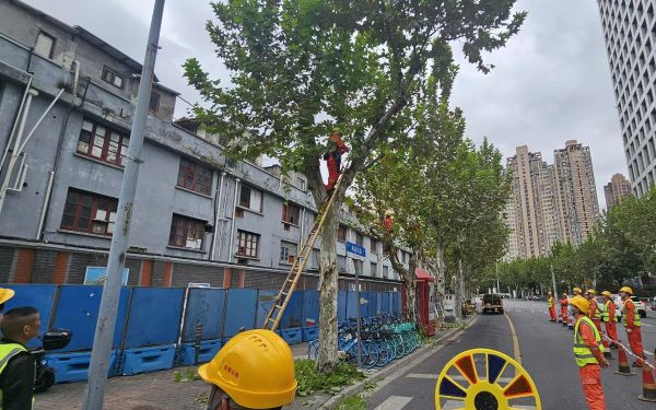 微信圖片_20251030144234_237_15.jpg 微信圖片_20251030144234_237_15.jpg